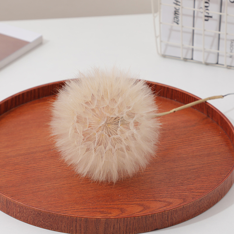Preserved Dandelion DIY Epoxy  - огляд і ціна Crafting Resin